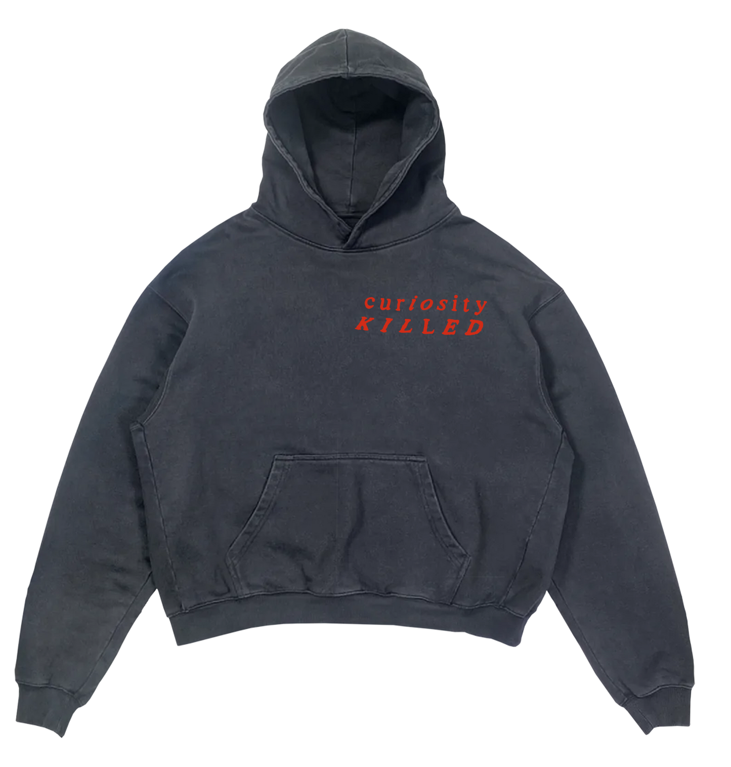 THE 'CURIOSITY' HOODIE